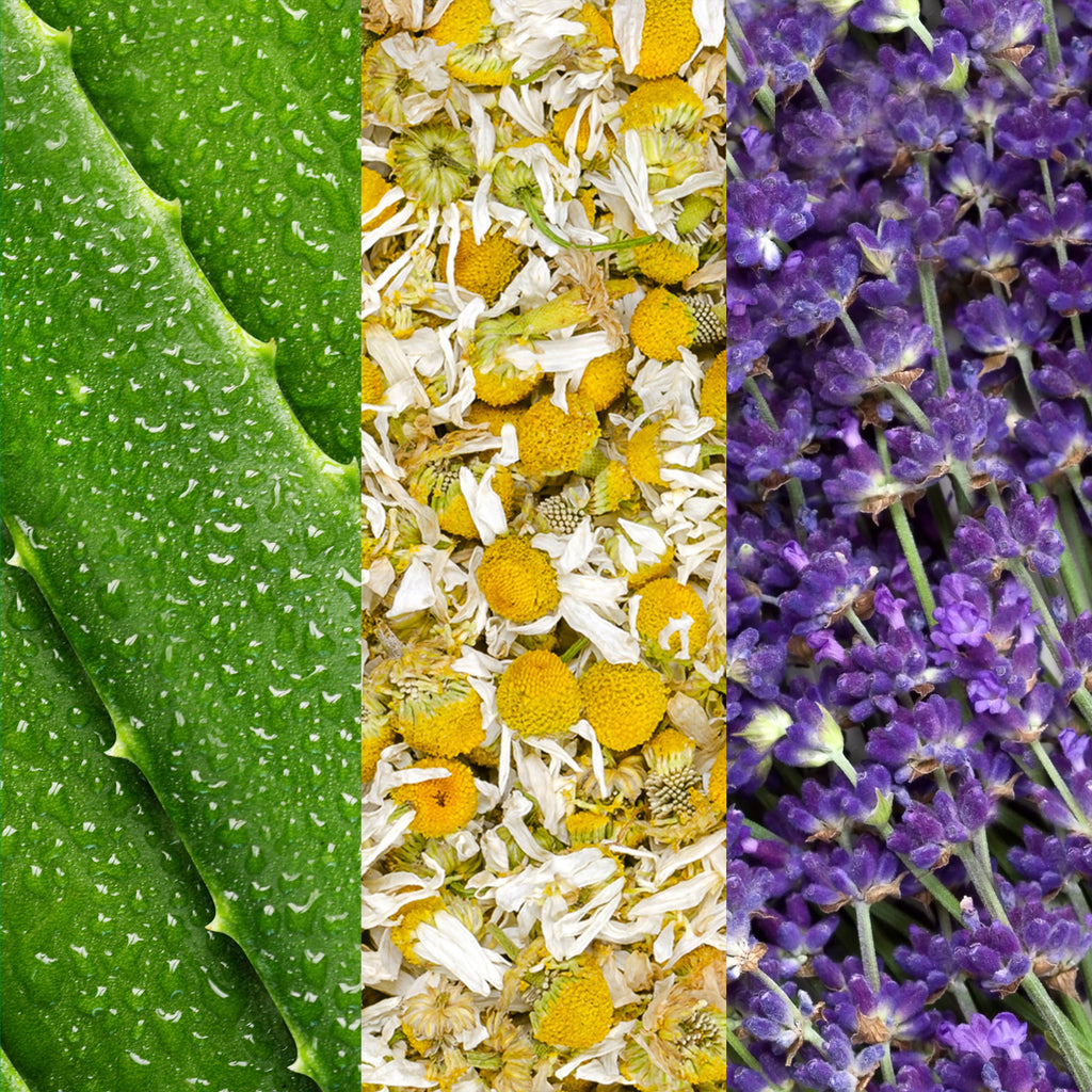 Spray Facial à l’Aloès, Camomille et Lavande – Mario Badescu
